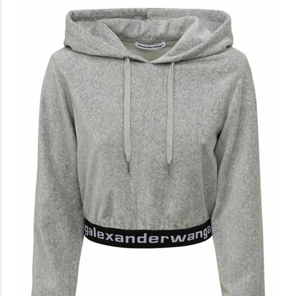 Alexander Wang Corduroy Cropped Hoodie - Picture 2 of 8
